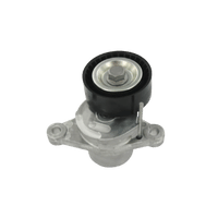 Galet-tendeur de courroie d'accessoires