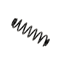 Ressort supplémentaire